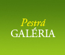 Pestr galria